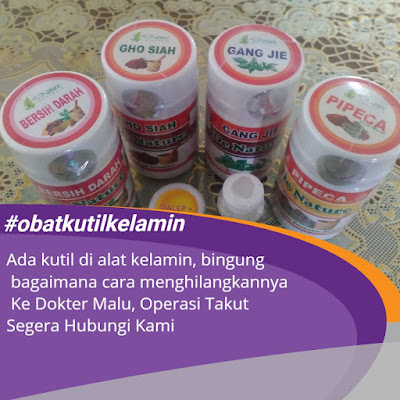 Gambar Gambar Ciri Ciri Kutil kelamin  ( jengger ayam ) Yang Masih Kecil