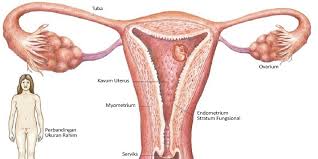 Foto Bagaimana Cara Meminimalisis Kanker Serviks