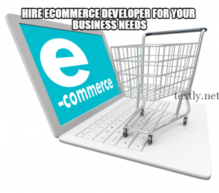 Hire Ecommerce Developer for Your Business Needs