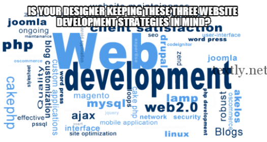 Is Your Designer Keeping These Three Website Development Strategies in Mind