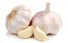 Gambar Bawang Putih Obat Sipilis yang Ampuh Dan Alami